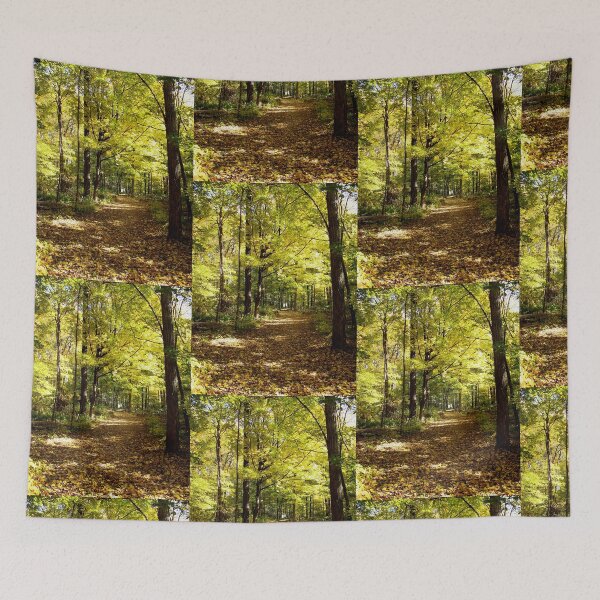 Item preview, Forest path designed and sold by J Rier Photography.
