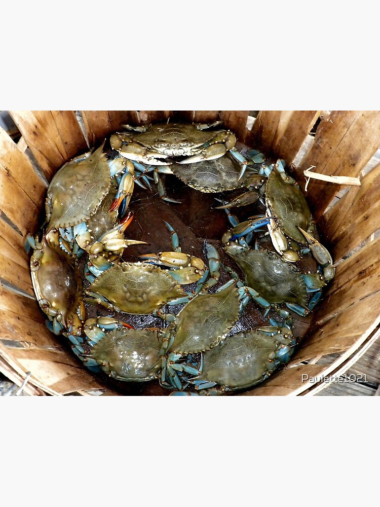 "Crab Basket" Poster by Paulette1021 Redbubble