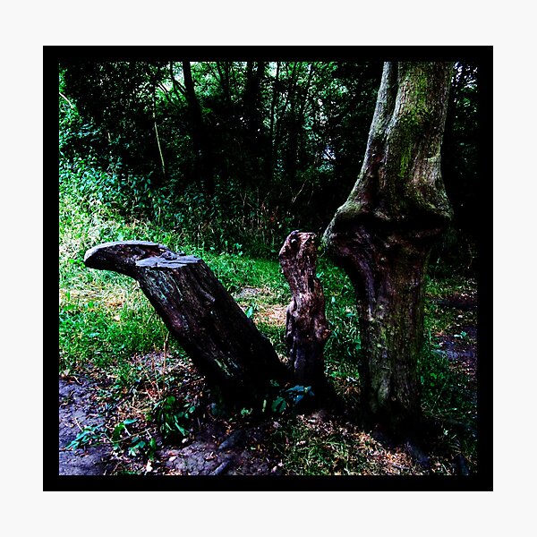 Mummy Tree Baby Tree Photographic Print
