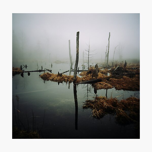 Photographic Print