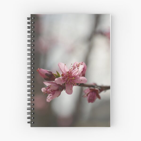 Item preview, Peach Tree Blossom Branches designed and sold by StampCity.
