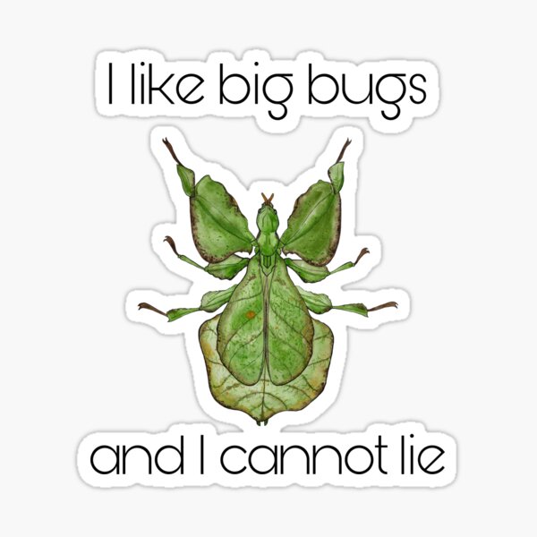 Item preview, I like Big Bugs and I cannot lie, mint green, leaf insect, Phylliidae, Phyllium designed and sold by bluejayknits.