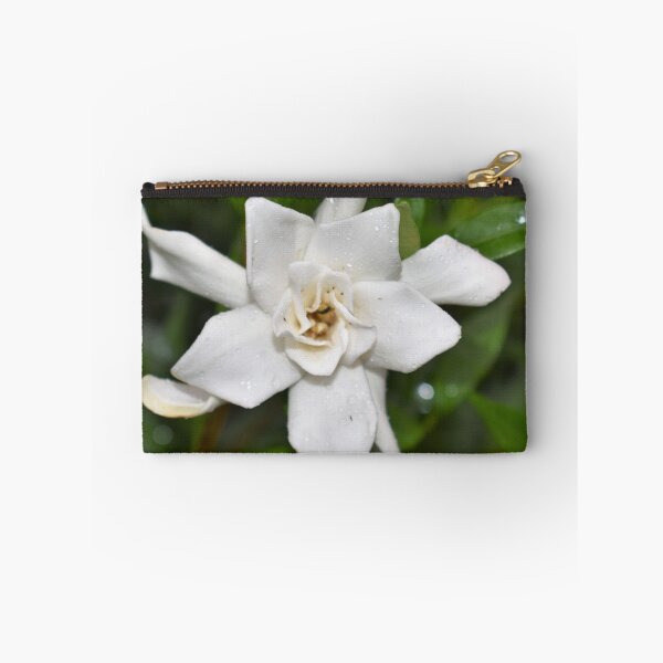 Item preview, Rain Covered Gardenia designed and sold by Photos67.