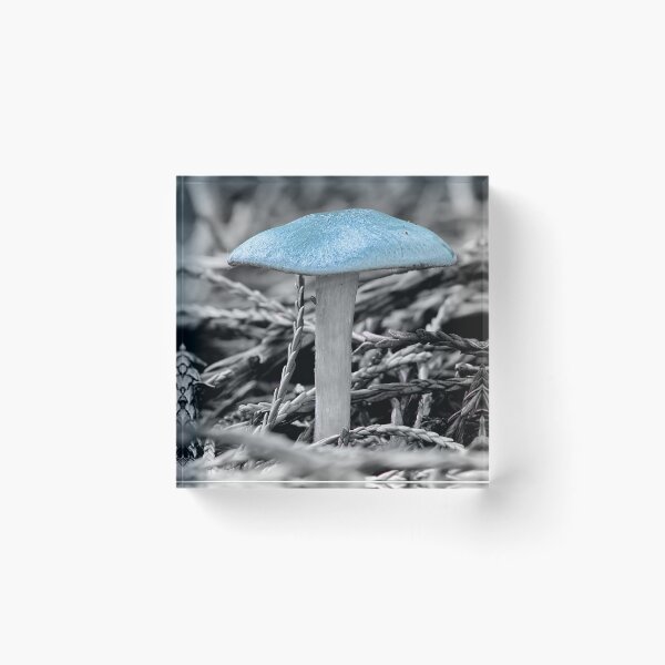 Item preview, Clitocybe Odora , Aniseed toadstool designed and sold by relayer51.