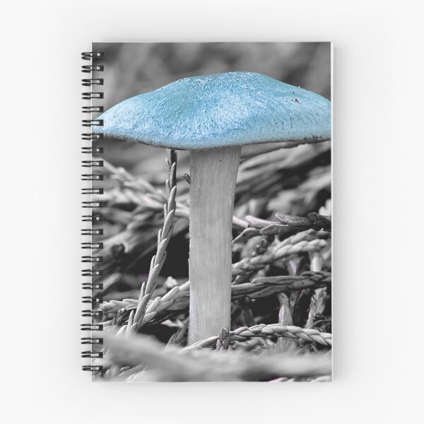 Item preview, Clitocybe Odora , Aniseed toadstool designed and sold by relayer51.