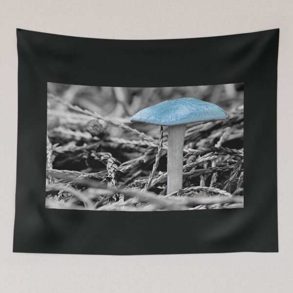 Item preview, Clitocybe Odora , Aniseed toadstool designed and sold by relayer51.