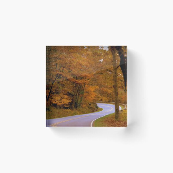 Item preview, Autumn Walk in the Woods-Virginia    ^ designed and sold by ctheworld.