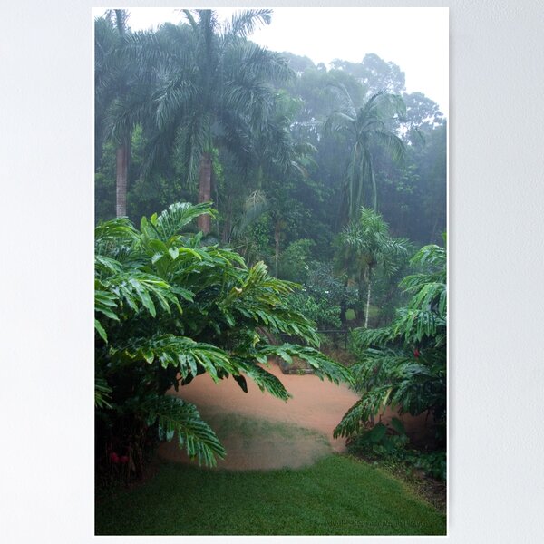 Item preview, Tropical Rain & Garden Flood Waters  designed and sold by Kerryn Madsen-Pietsch.