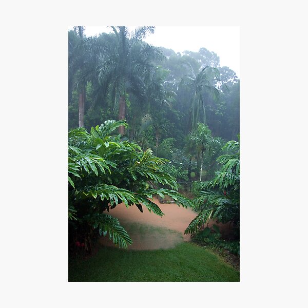 Item preview, Tropical Rain & Garden Flood Waters  designed and sold by Kerryn Madsen-Pietsch.