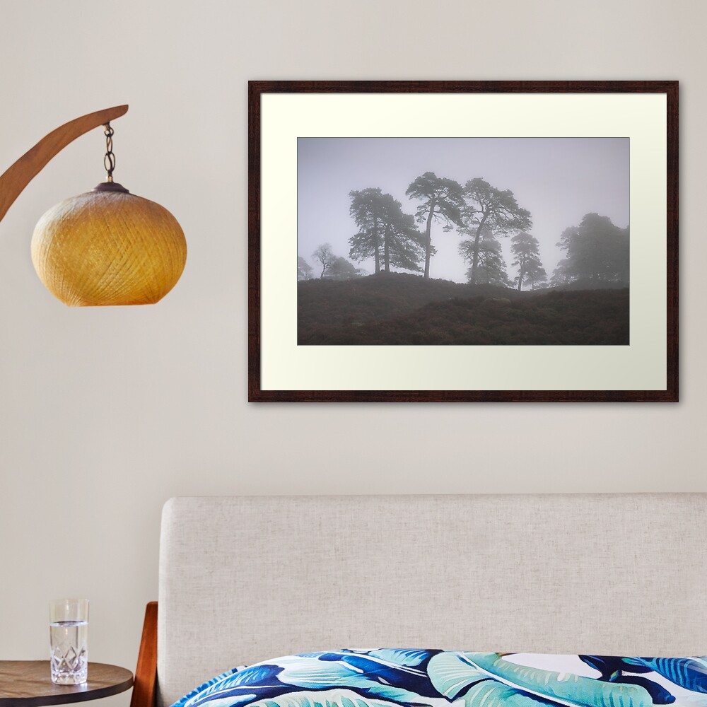 Soft Mornings (2) Framed Art Print