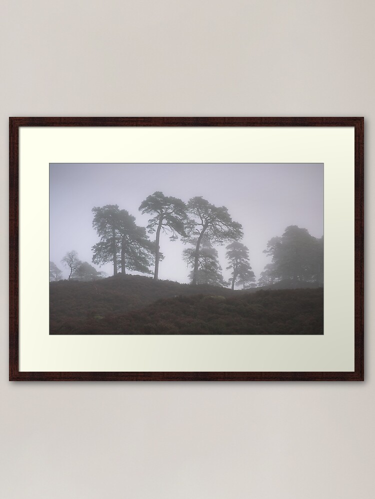 Alternate view of Soft Mornings (2) Framed Art Print