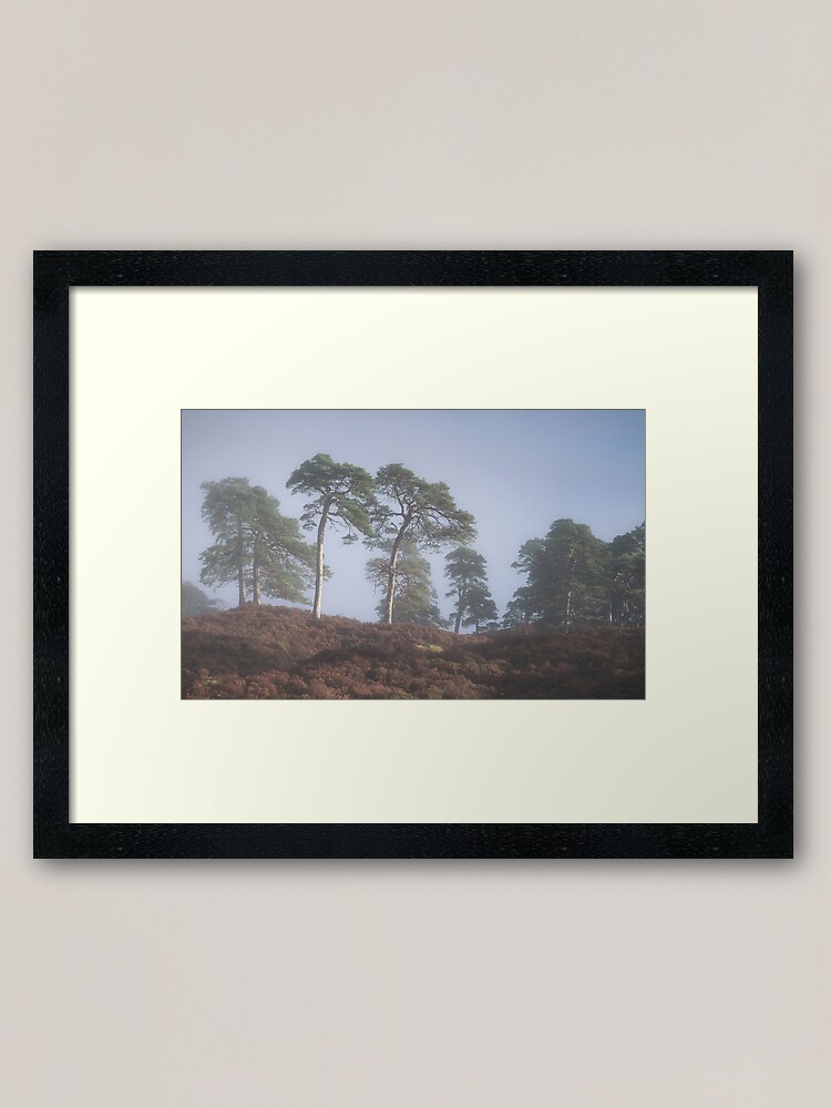 Alternate view of Soft Mornings (3) Framed Art Print
