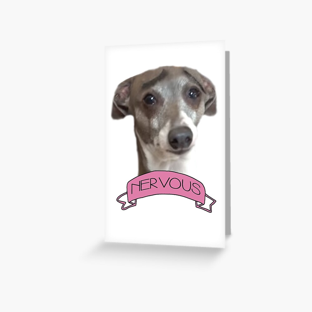 Kermit Is Nervous Jenna Marbles Dog Greeting Card By Oddbirdout Redbubble