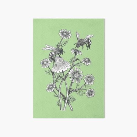bees and chamomile on succulent green background Art Board Print