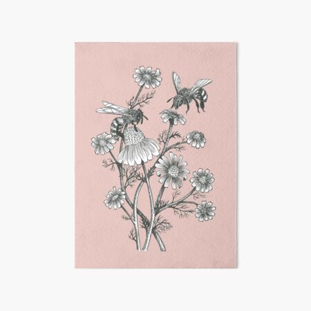 bees and chamomile on dusty pink background Art Board Print