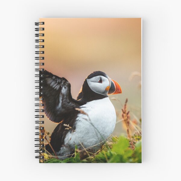 Item preview, Waving Puffin in Iceland designed and sold by marinaweishaupt.