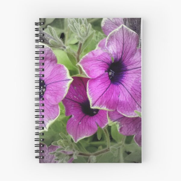 Item preview, Petunias Selectively Colored designed and sold by WildestArt.