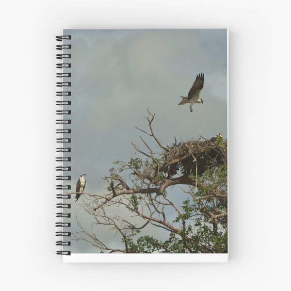 Item preview, Osprey Nest designed and sold by Scott Dovey.
