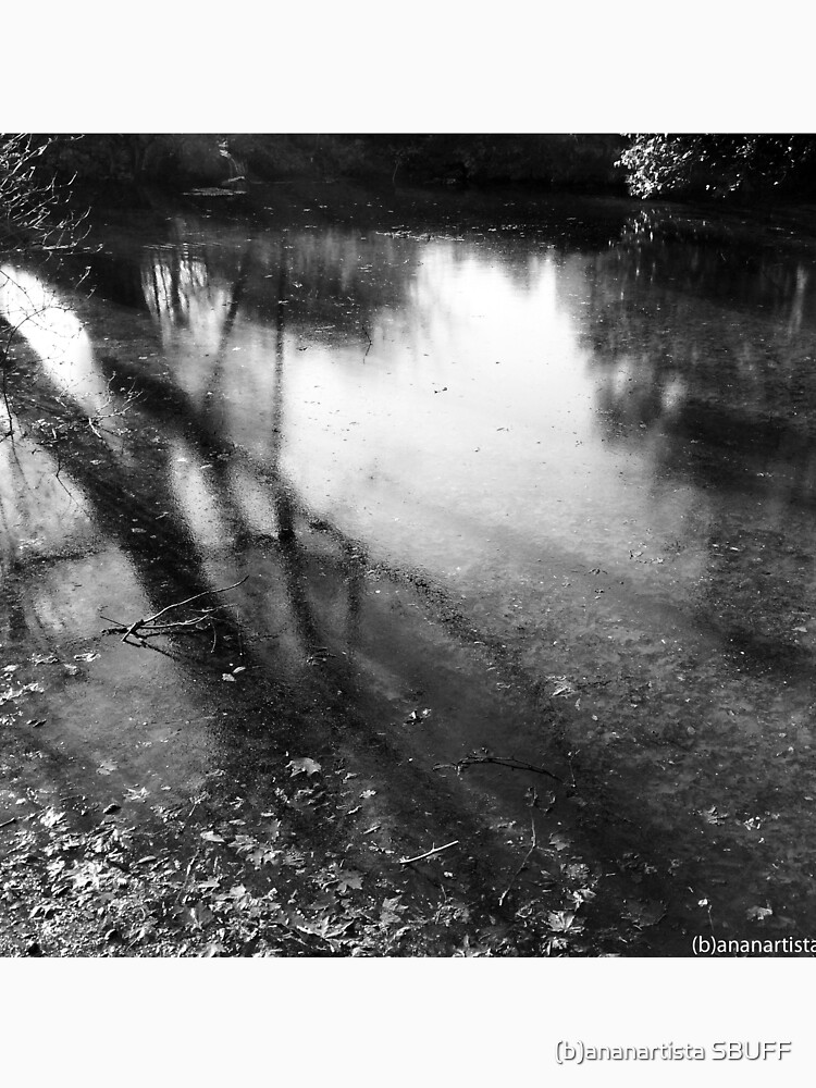 Little lake in the park (black and white photography) by bananartista