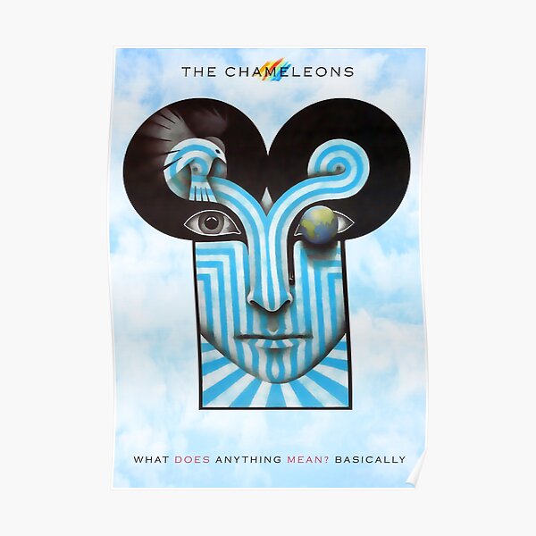 The Chameleons - What Does Anything Mean? Basically Poster