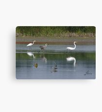 Follow The Leader Canvas Print