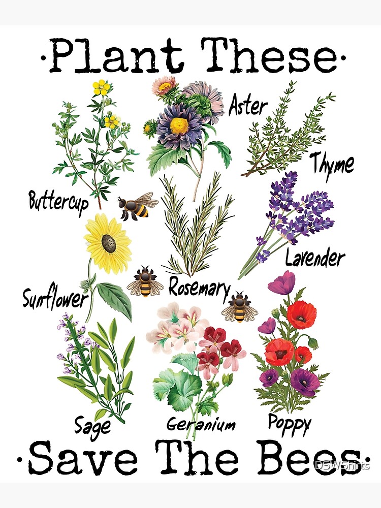 Plant These Save The Bees Flowers T-Shirt