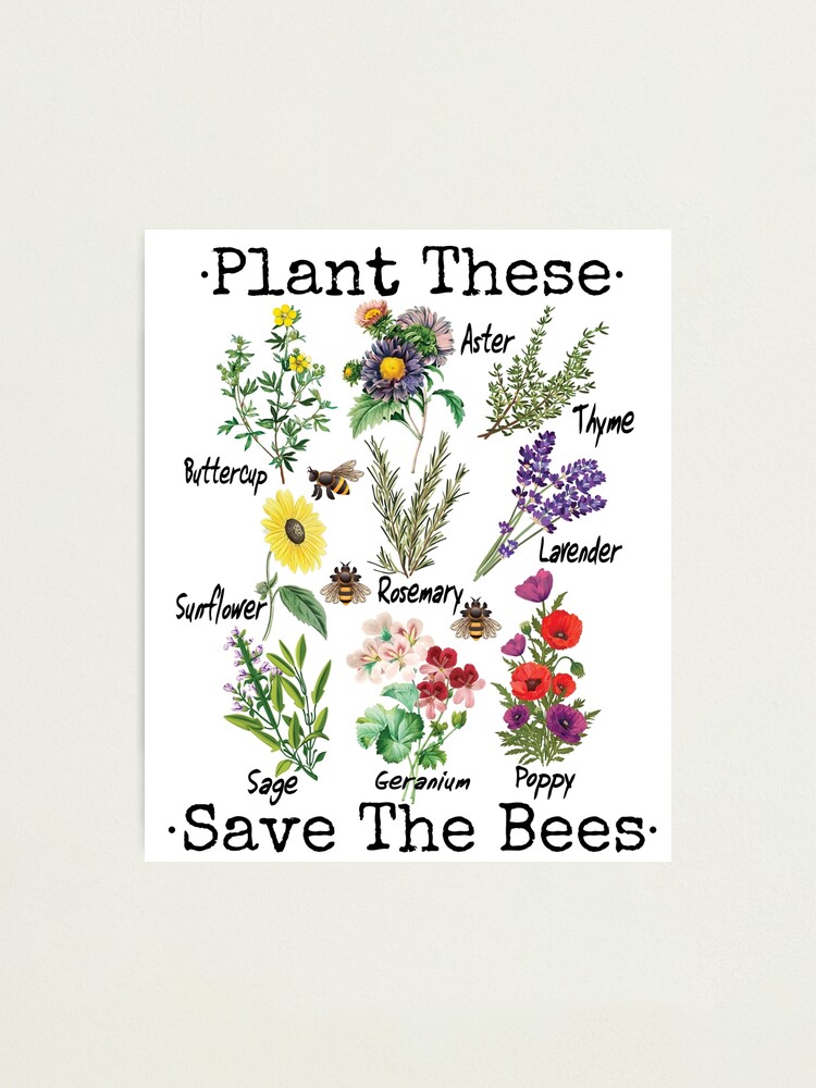 Plant These Save The Bees Shirt Women Yellow Flowers