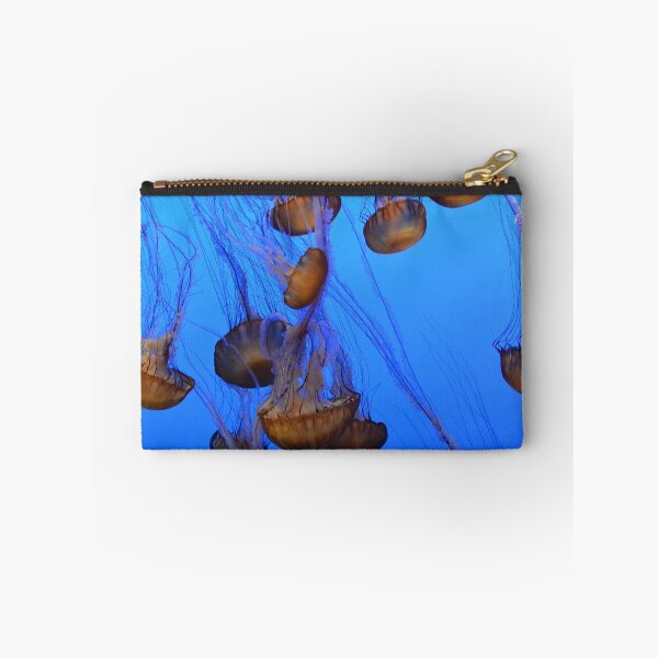 Item preview, Jellyfish at Play designed and sold by Carol Barona.