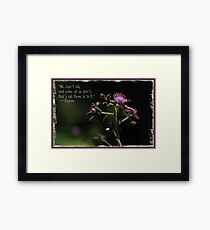 For Eeyore Framed Print