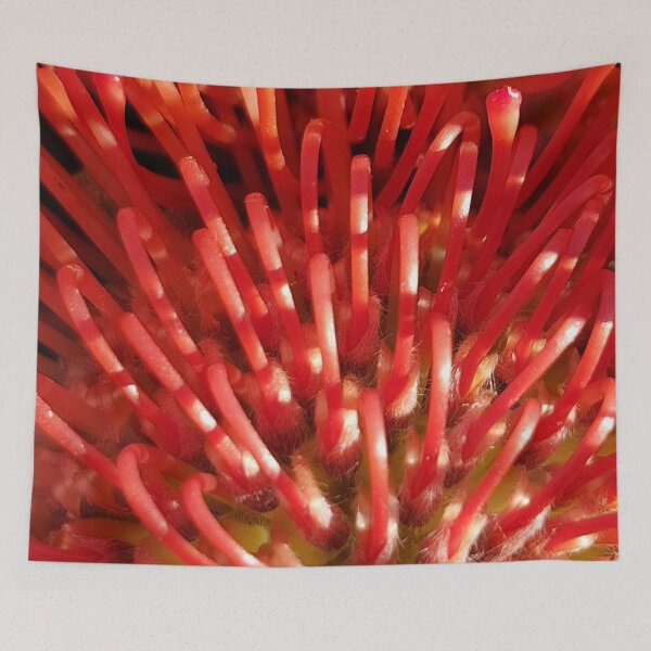 Item preview, Pincushion Protea Red designed and sold by ellenhenry.