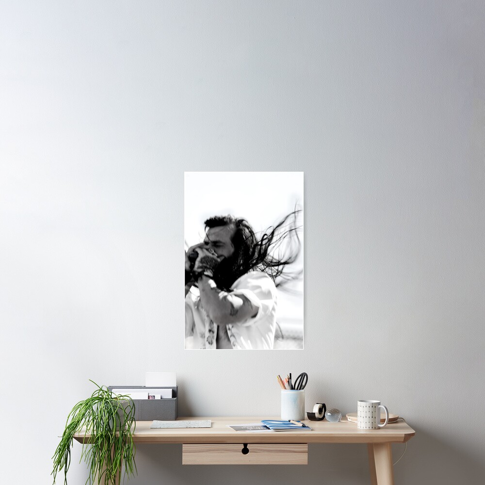 HARMONICA Poster