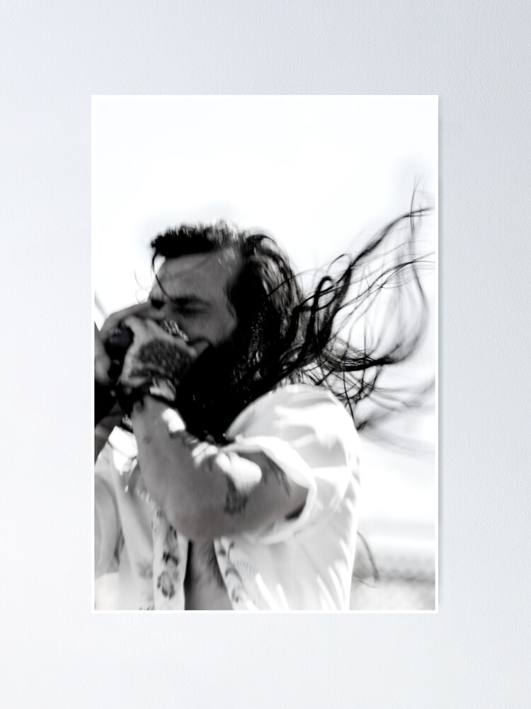 Alternate view of HARMONICA Poster
