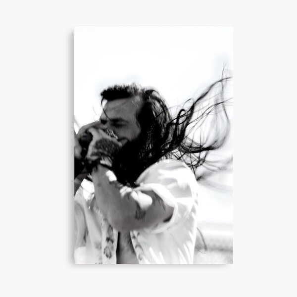 HARMONICA Canvas Print