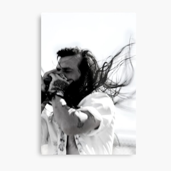 HARMONICA Metal Print