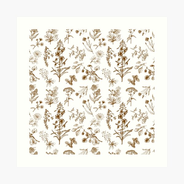 Summer herbs Art Print