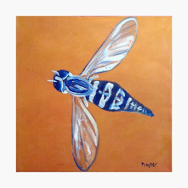Fly West Photographic Print