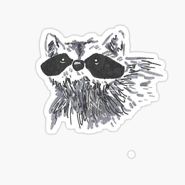 Cute Raccoon Looking Up Sticker