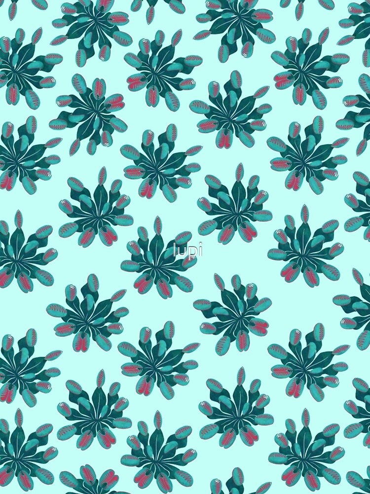 Venus Flytrap by lupi