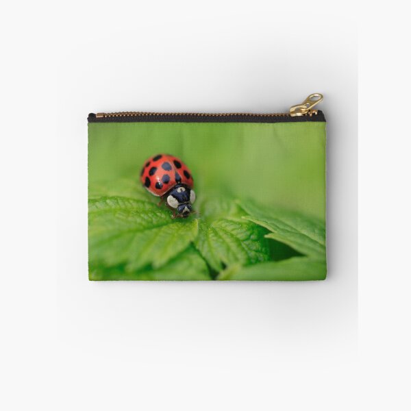 Item preview, red ladybug sitting on green leaf designed and sold by olena2552.
