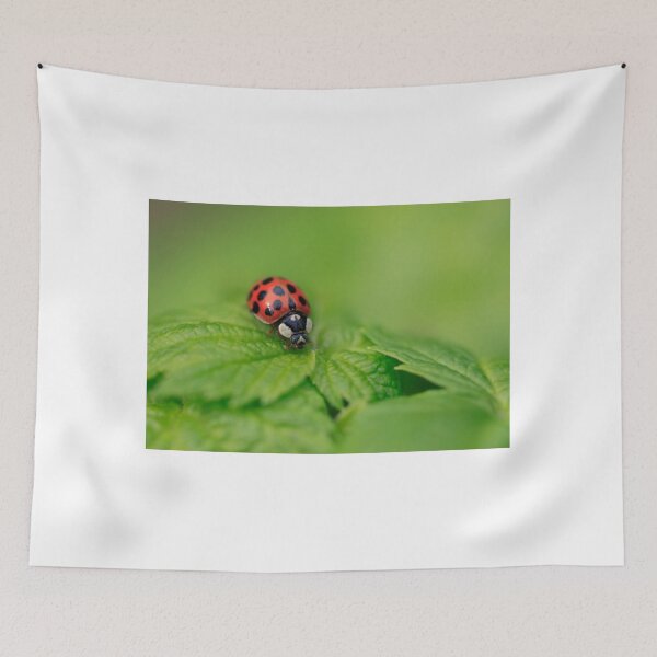 Item preview, red ladybug sitting on green leaf designed and sold by olena2552.