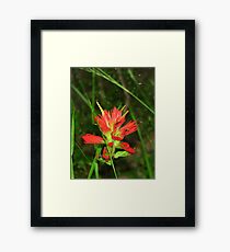 Paintbrush Framed Print