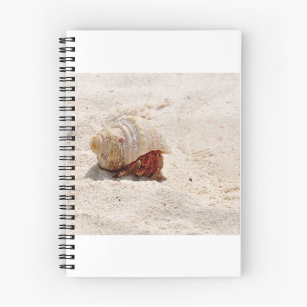 Item preview, Cangrejo ermitaño designed and sold by dominophotog.