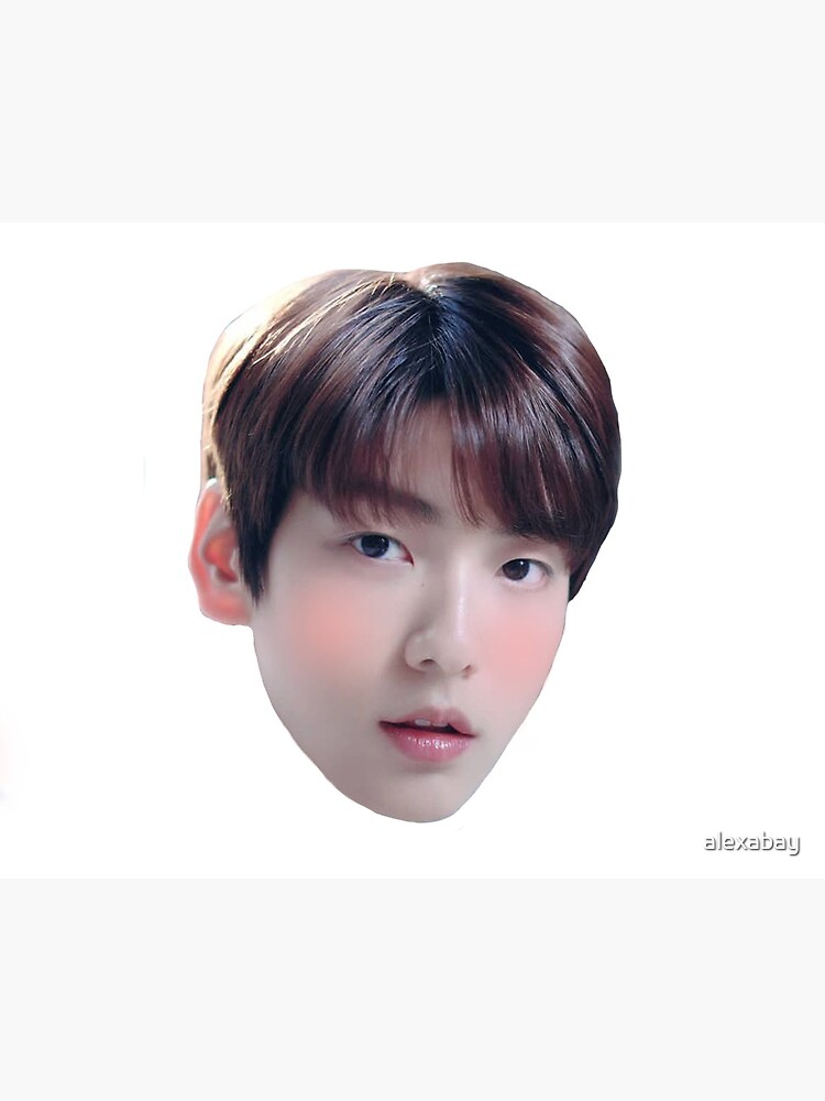 TXT KPOP stickers Sticker for Sale by alexabay