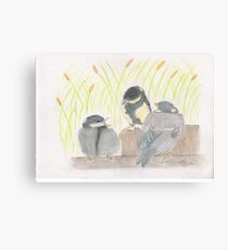 "chatter! chirp! chirp" for JD Canvas Print