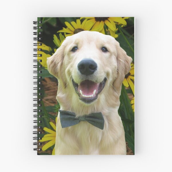 Aperçu de l'œuvre Golden retriever chic créée et vendue par vwrites.