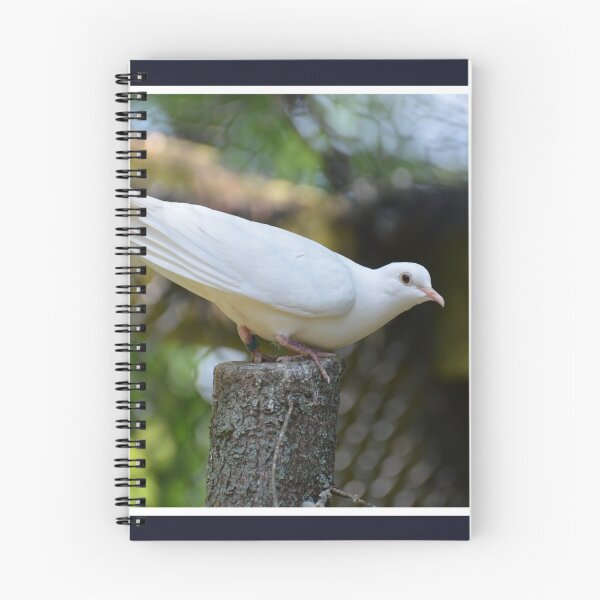 Item preview, White Dove designed and sold by LizardSpirit.