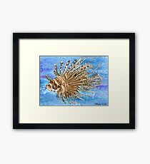 Daily Doodle 8 - Lionfish Framed Print