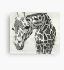 A giraffe in pencil Canvas Print