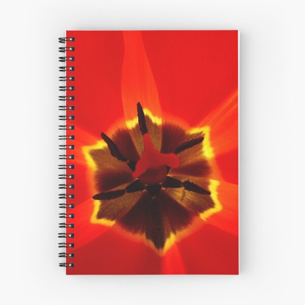 Item preview, Le coeur d'une tulipe rouge designed and sold by Sylvie Villeneuve.