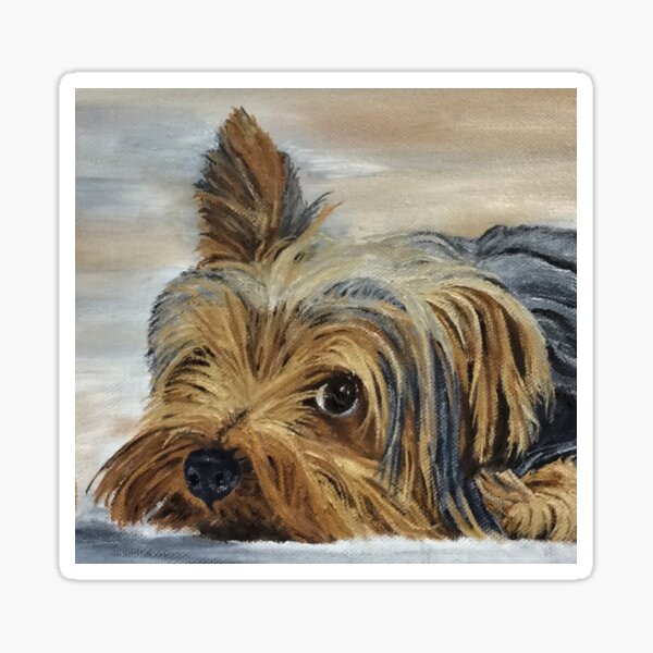 Yorkie Devotion Greeting Card (Blank) Sticker